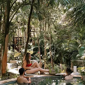 Anand Ecoaldea , Puerto Morelos Mexique